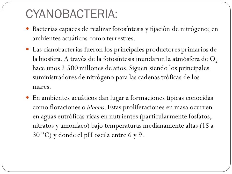 CYANOBACTERIA: Bacterias capaces de realizar fotosíntesis y fijación de nitrógeno; en ambientes acuáticos como terrestres.