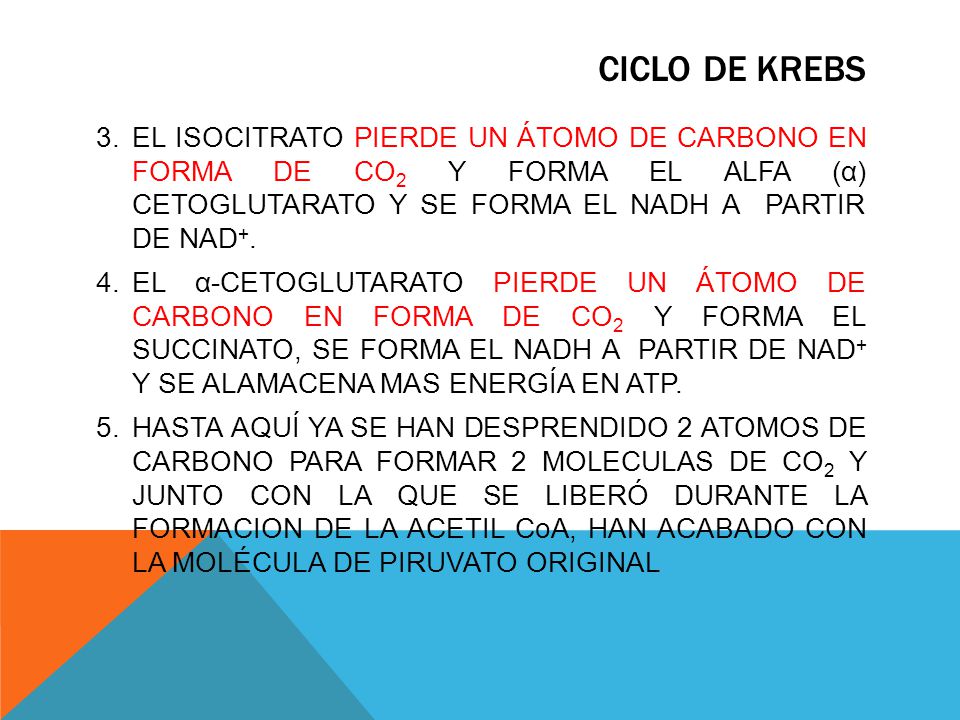 CICLO DE KREBS EL ISOCITRATO PIERDE UN ÁTOMO DE CARBONO EN FORMA DE CO2 Y FORMA EL ALFA (α) CETOGLUTARATO Y SE FORMA EL NADH A PARTIR DE NAD+.