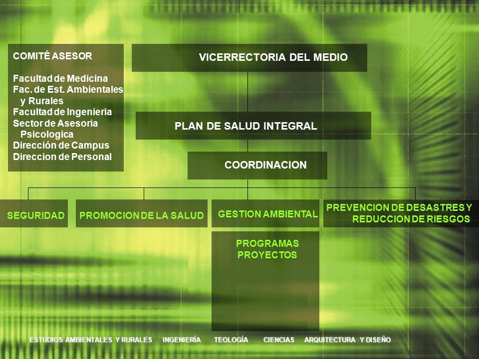 VICERRECTORIA DEL MEDIO PREVENCION DE DESASTRES Y REDUCCION DE RIESGOS