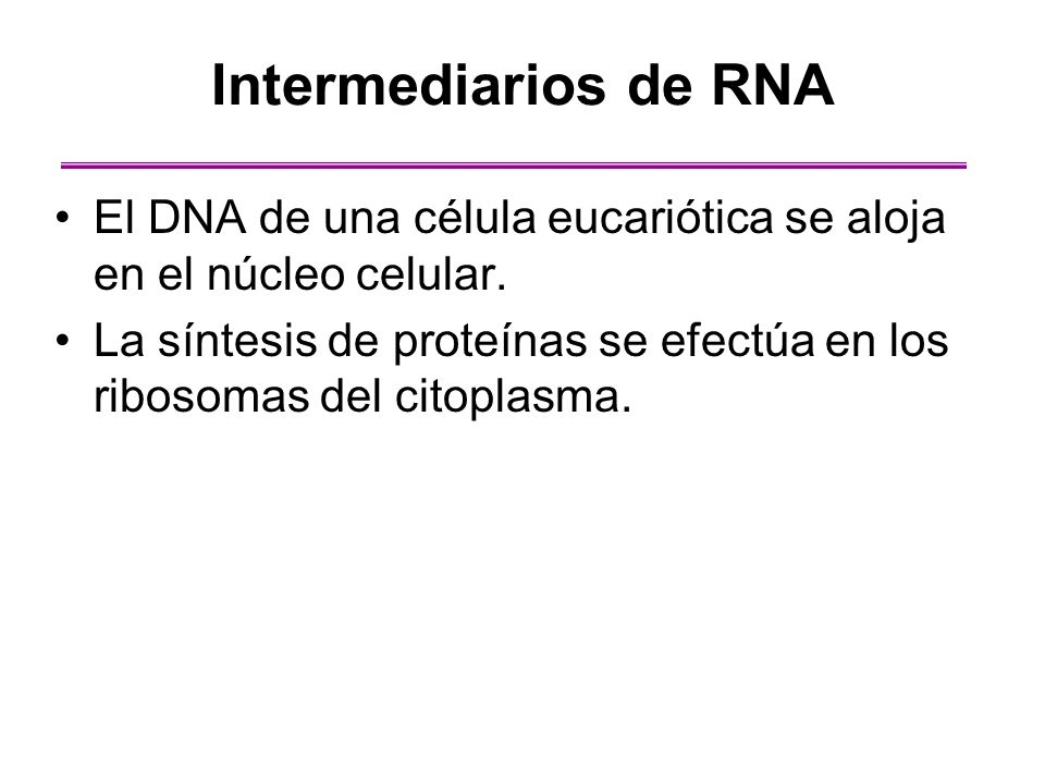 Intermediarios de RNA El DNA de una célula eucariótica se aloja en el núcleo celular.