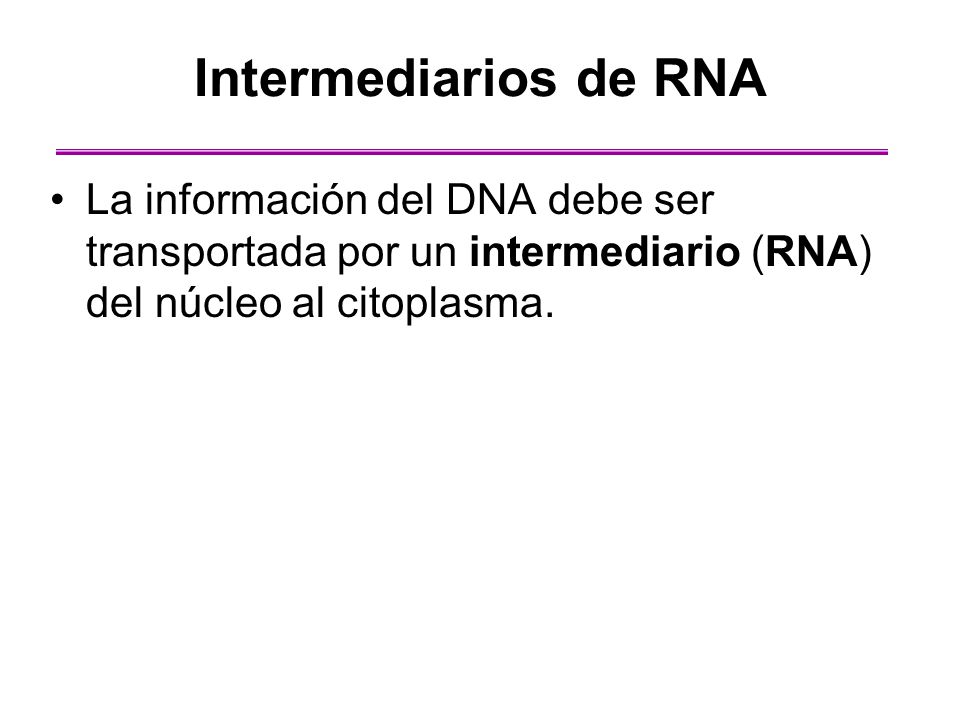 Intermediarios de RNA La información del DNA debe ser transportada por un intermediario (RNA) del núcleo al citoplasma.