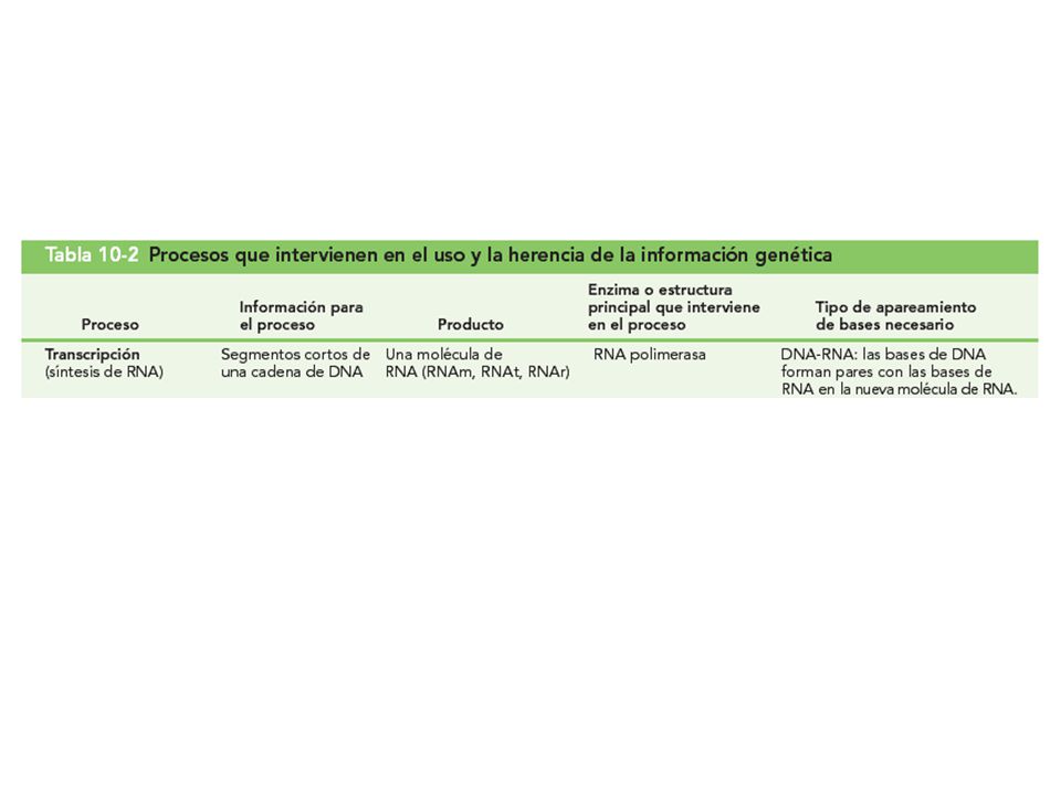 Tabla 10-2 Procesos que intervienen en el uso y la herencia de la información genética