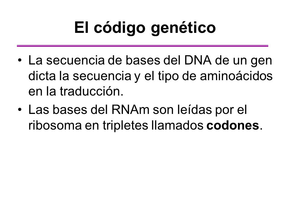 El código genético La secuencia de bases del DNA de un gen dicta la secuencia y el tipo de aminoácidos en la traducción.