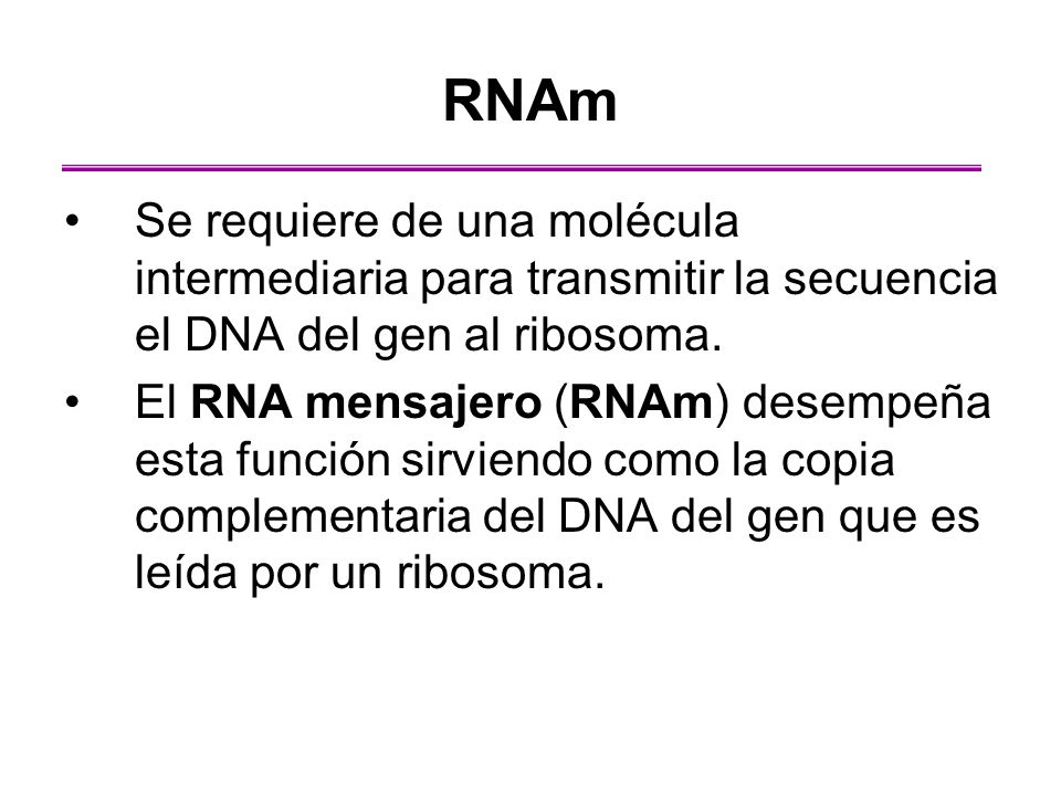 RNAm Se requiere de una molécula intermediaria para transmitir la secuencia el DNA del gen al ribosoma.