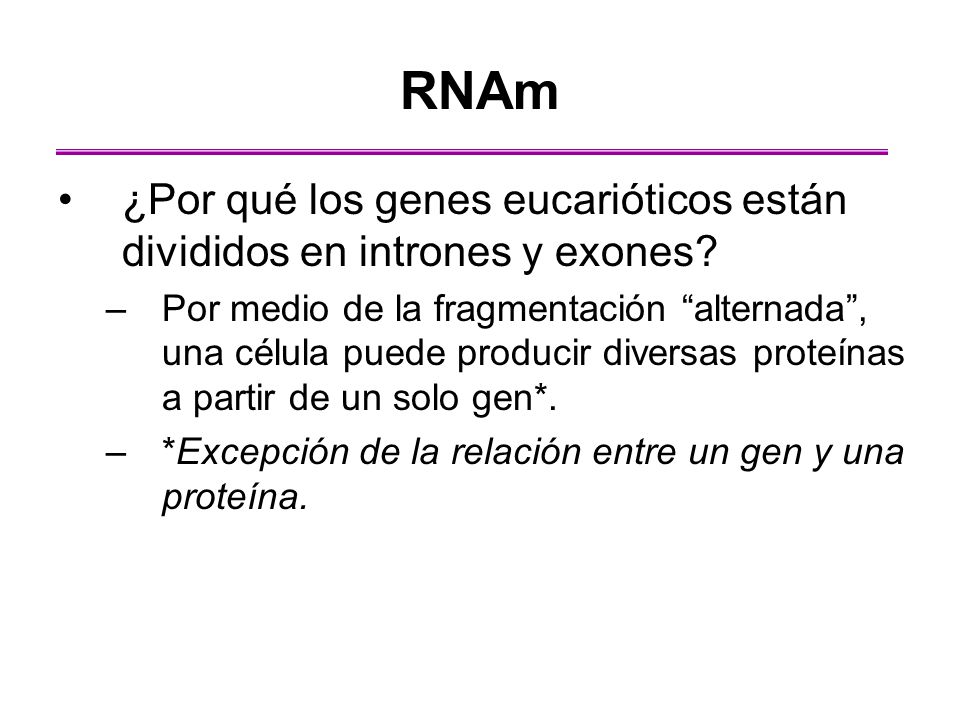RNAm ¿Por qué los genes eucarióticos están divididos en intrones y exones