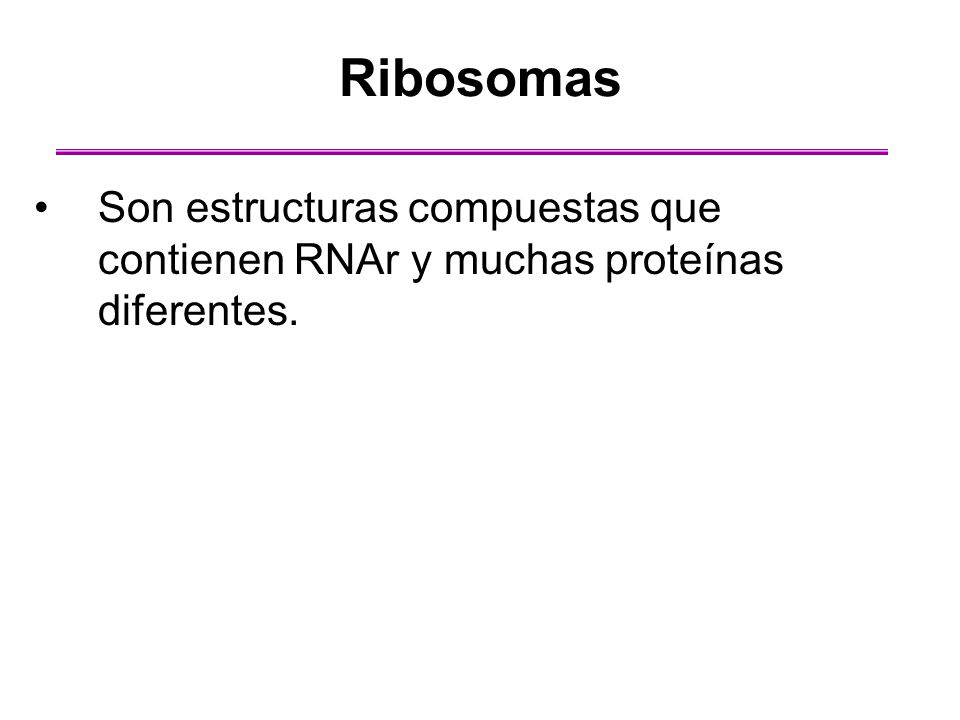 Ribosomas Son estructuras compuestas que contienen RNAr y muchas proteínas diferentes.