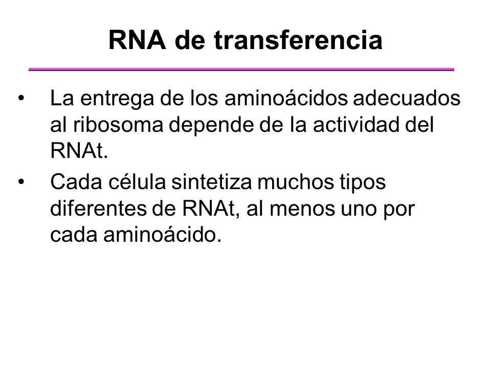 RNA de transferencia La entrega de los aminoácidos adecuados al ribosoma depende de la actividad del RNAt.