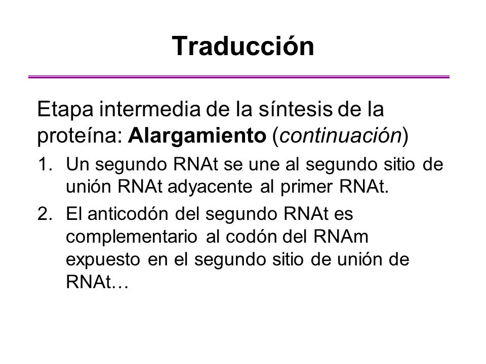 Traducción Etapa intermedia de la síntesis de la proteína: Alargamiento (continuación)