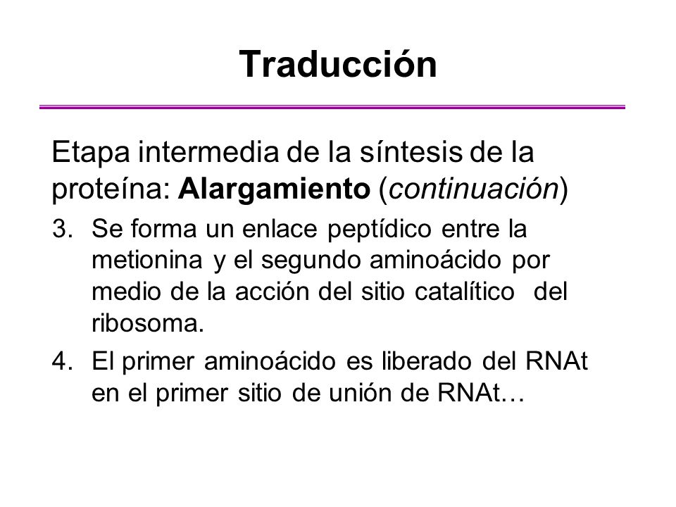 Traducción Etapa intermedia de la síntesis de la proteína: Alargamiento (continuación)