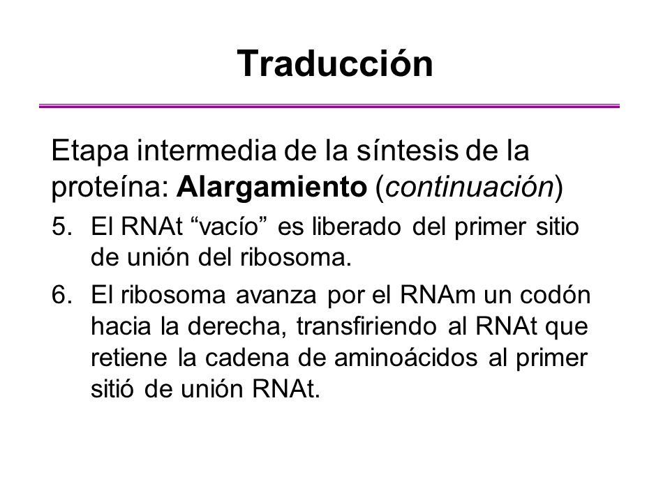 Traducción Etapa intermedia de la síntesis de la proteína: Alargamiento (continuación)