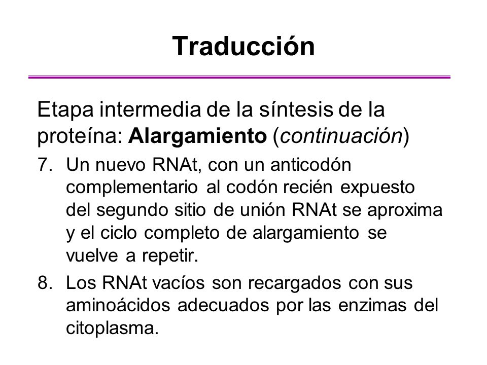 Traducción Etapa intermedia de la síntesis de la proteína: Alargamiento (continuación)