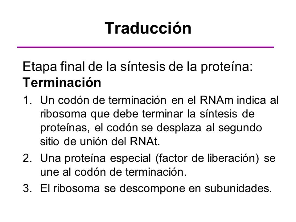 Traducción Etapa final de la síntesis de la proteína: Terminación