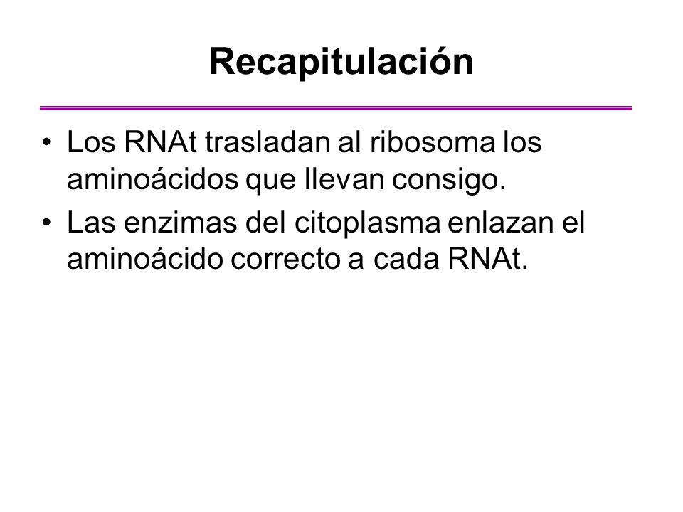 Recapitulación Los RNAt trasladan al ribosoma los aminoácidos que llevan consigo.