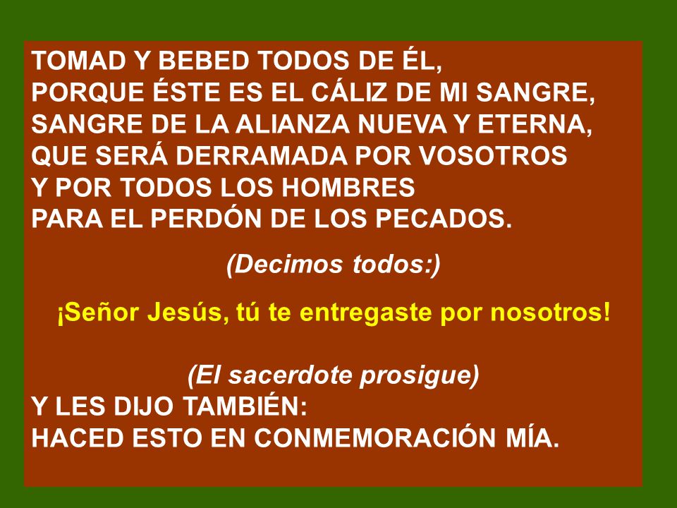 ¡Señor Jesús, tú te entregaste por nosotros! (El sacerdote prosigue)
