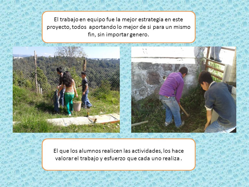 El trabajo en equipo fue la mejor estrategia en este proyecto, todos aportando lo mejor de si para un mismo fin, sin importar genero.
