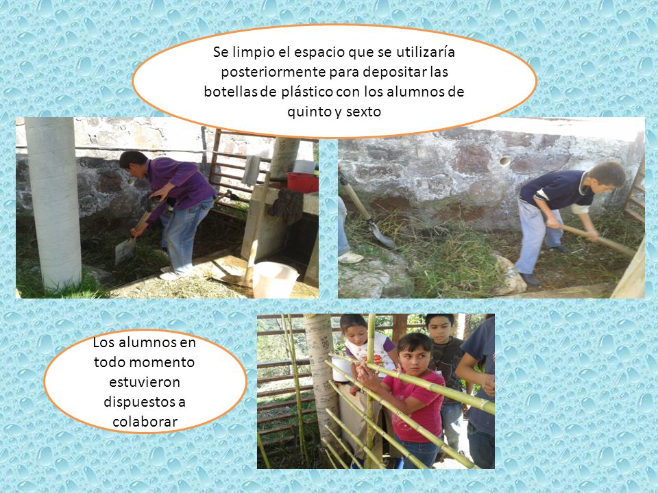 Los alumnos en todo momento estuvieron dispuestos a colaborar