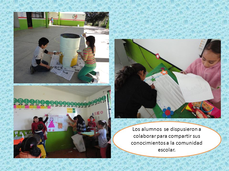 Los alumnos se dispusieron a colaborar para compartir sus conocimientos a la comunidad escolar.