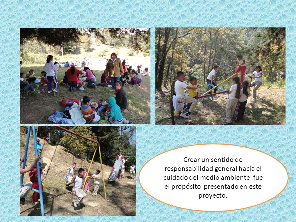 Crear un sentido de responsabilidad general hacia el cuidado del medio ambiente fue el propósito presentado en este proyecto.