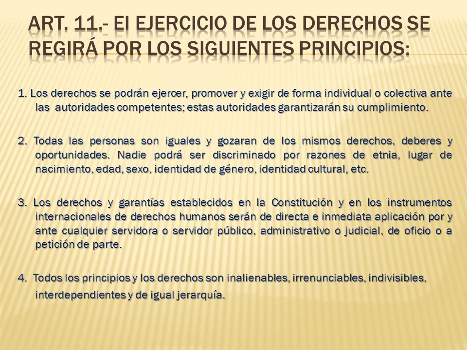 Art EI ejercicio de los derechos se regirá por los siguientes principios: