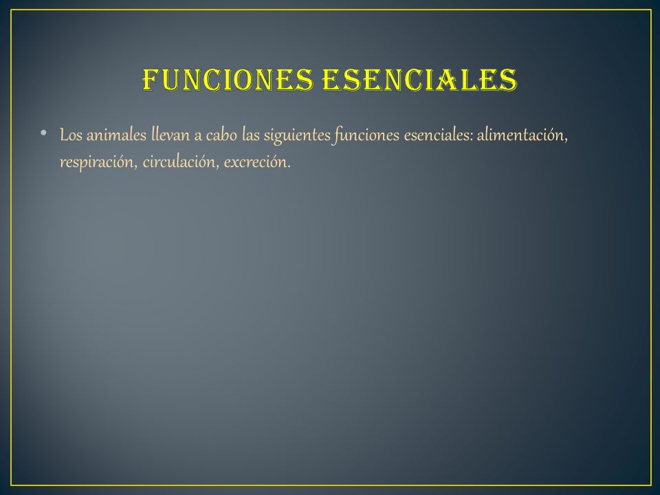 Funciones esenciales Los animales llevan a cabo las siguientes funciones esenciales: alimentación, respiración, circulación, excreción.