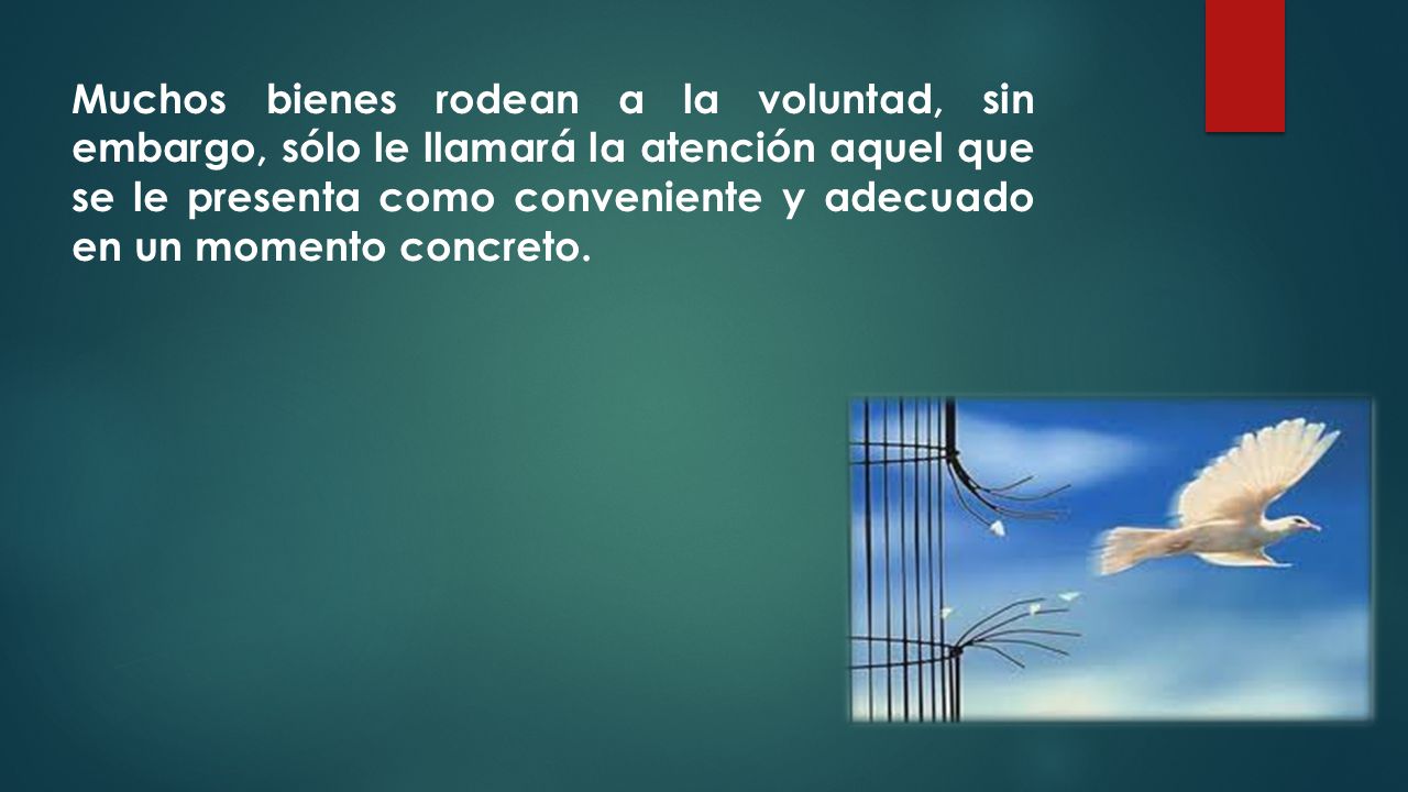 Muchos bienes rodean a la voluntad, sin embargo, sólo le llamará la atención aquel que se le presenta como conveniente y adecuado en un momento concreto.
