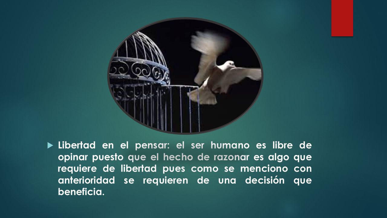 Libertad en el pensar: el ser humano es libre de opinar puesto que el hecho de razonar es algo que requiere de libertad pues como se menciono con anterioridad se requieren de una decisión que beneficia.