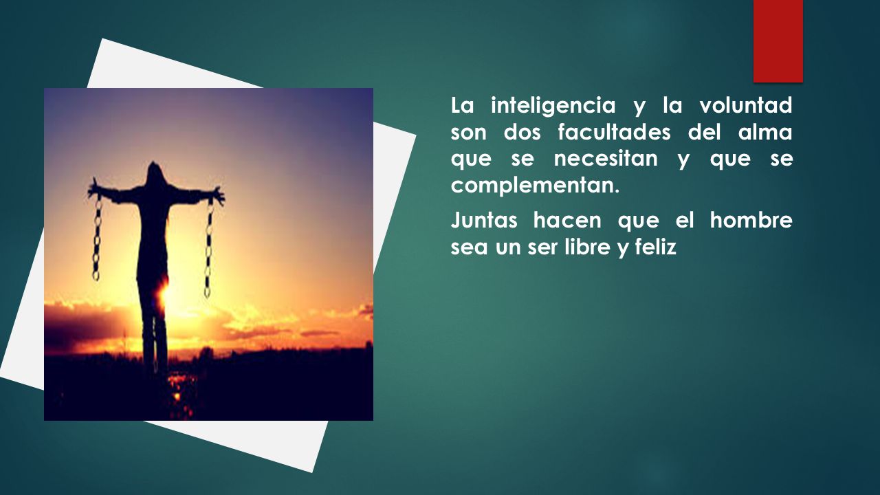 La inteligencia y la voluntad son dos facultades del alma que se necesitan y que se complementan.