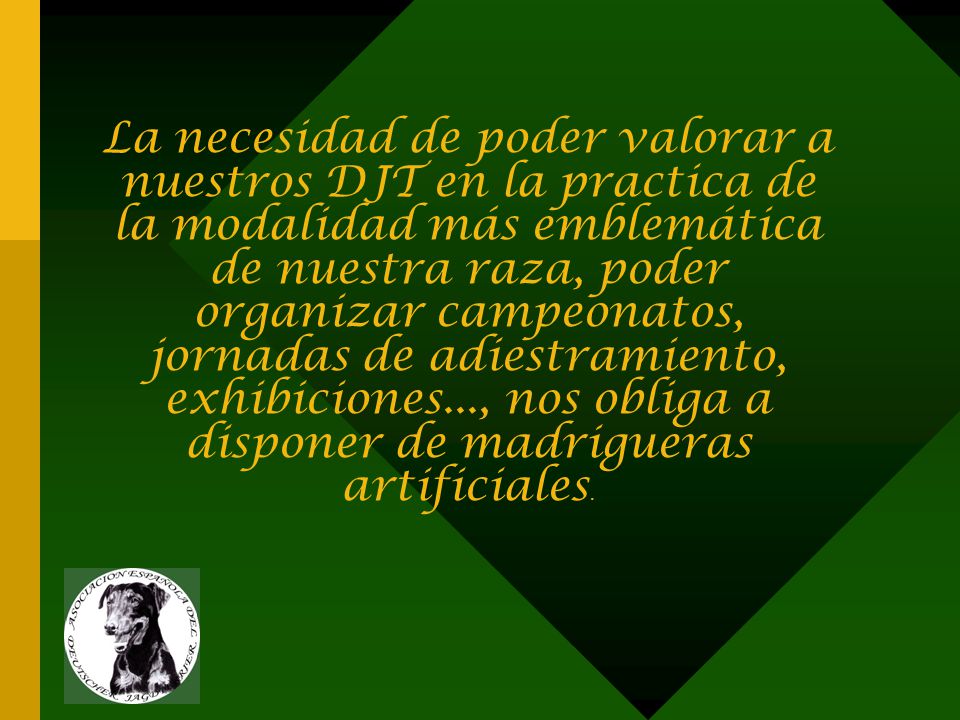 La necesidad de poder valorar a nuestros DJT en la practica de la modalidad más emblemática de nuestra raza, poder organizar campeonatos, jornadas de adiestramiento, exhibiciones..., nos obliga a disponer de madrigueras artificiales.