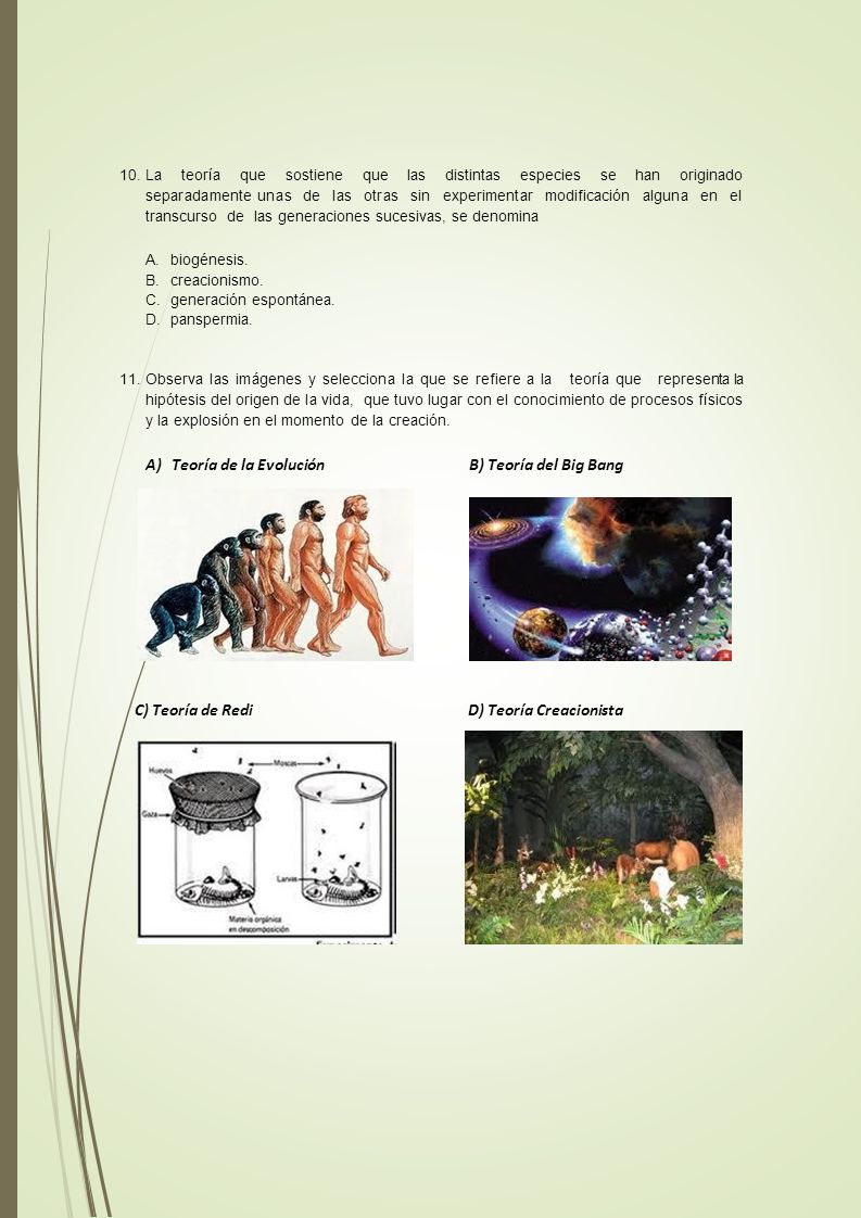 A) Teoría de la Evolución B) Teoría del Big Bang