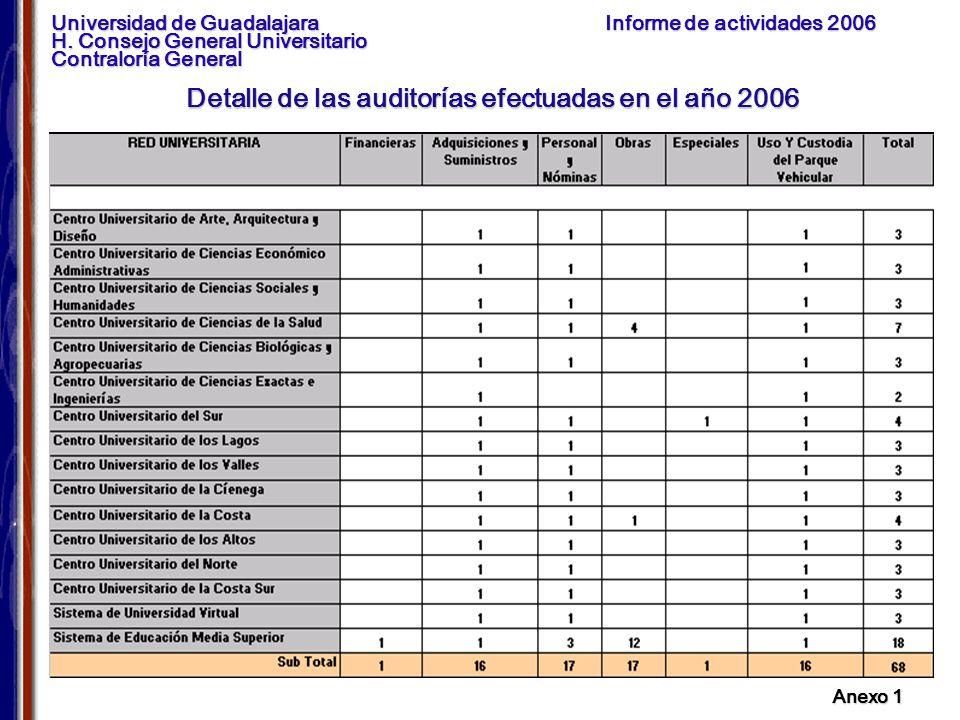 Detalle de las auditorías efectuadas en el año 2006