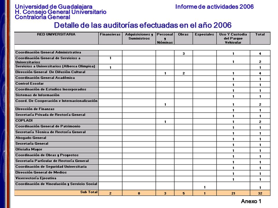 Detalle de las auditorías efectuadas en el año 2006