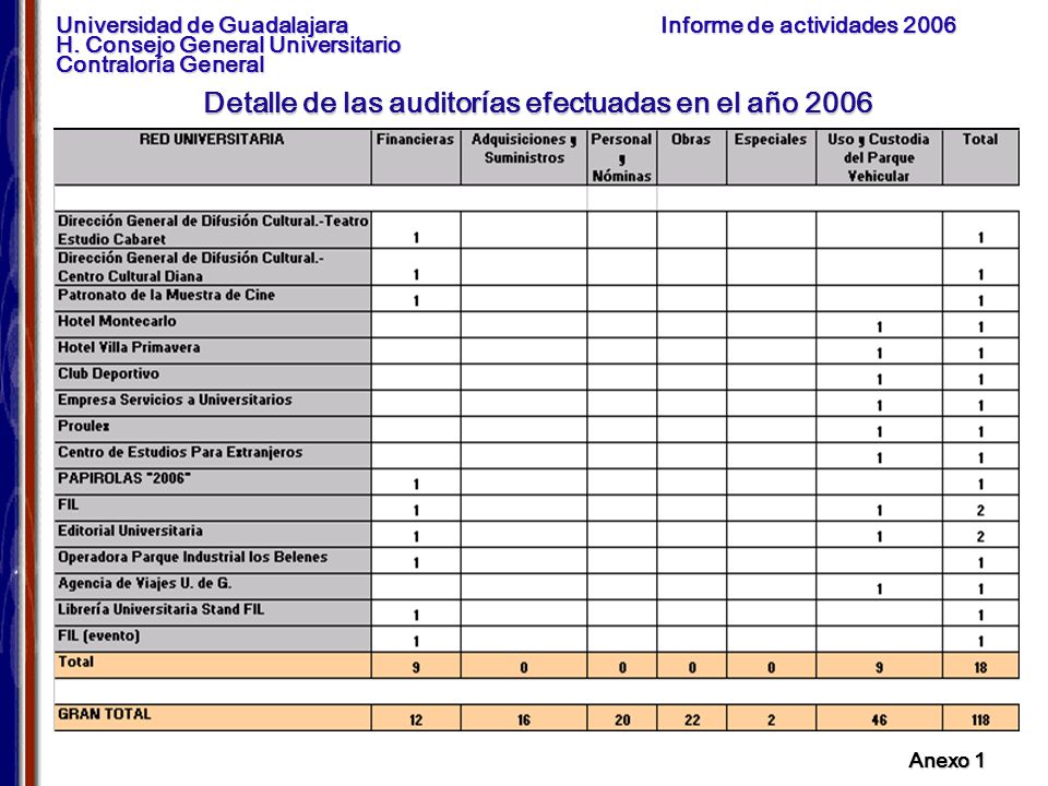 Detalle de las auditorías efectuadas en el año 2006