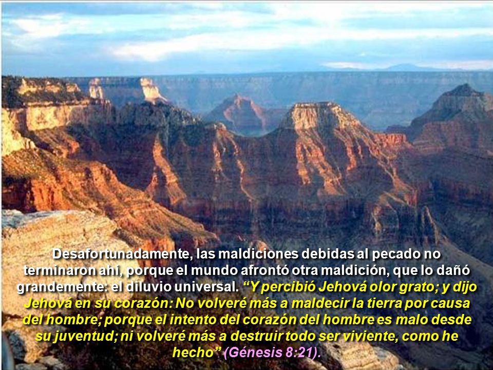 Desafortunadamente, las maldiciones debidas al pecado no terminaron ahí, porque el mundo afrontó otra maldición, que lo dañó grandemente: el diluvio universal.