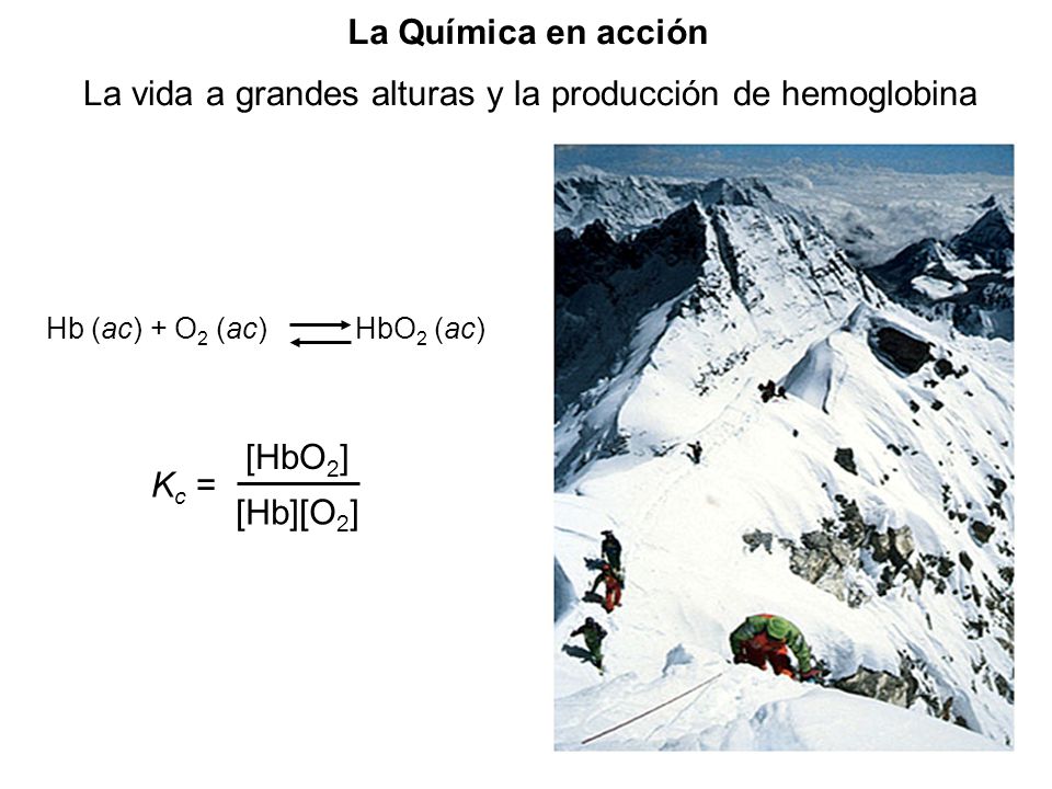 La vida a grandes alturas y la producción de hemoglobina