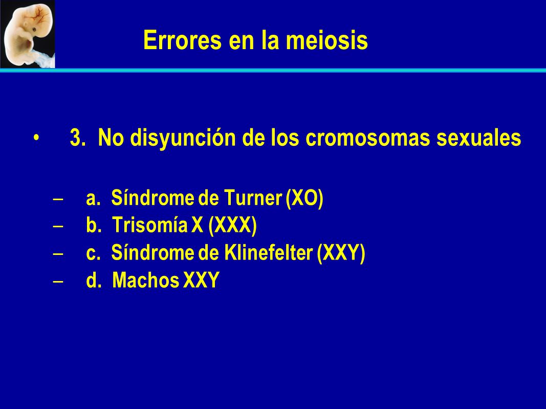 Errores en la meiosis 3. No disyunción de los cromosomas sexuales