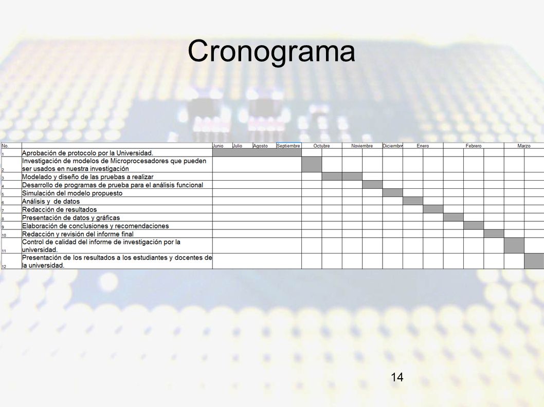 Cronograma