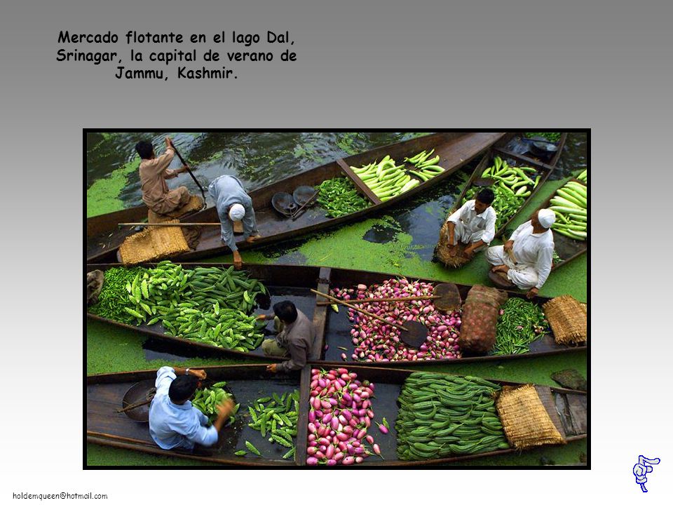 Mercado flotante en el lago Dal, Srinagar, la capital de verano de Jammu, Kashmir.