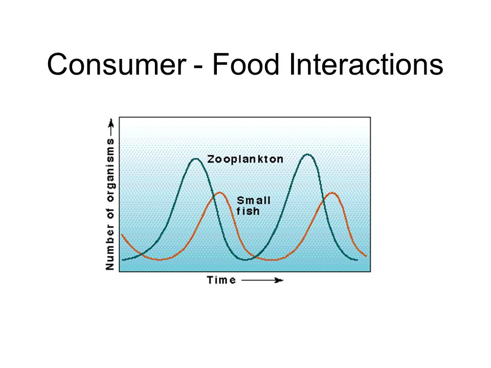 Consumer - Food Interactions