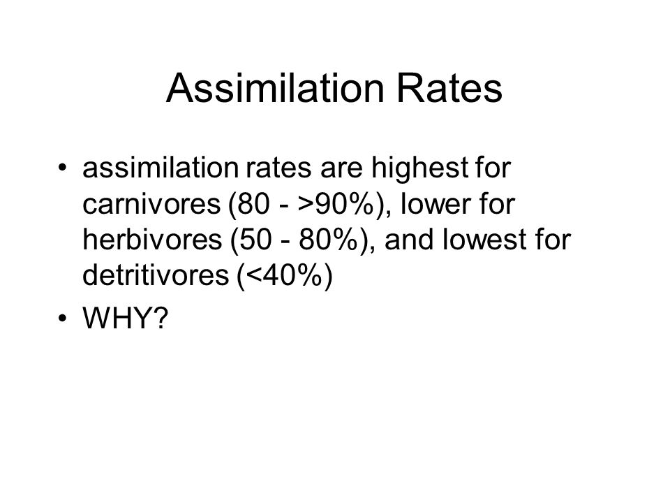 Assimilation Rates assimilation rates are highest for carnivores (80 - >90%), lower for herbivores ( %), and lowest for detritivores (<40%)