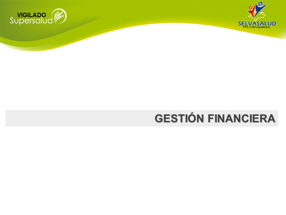 GESTIÓN FINANCIERA