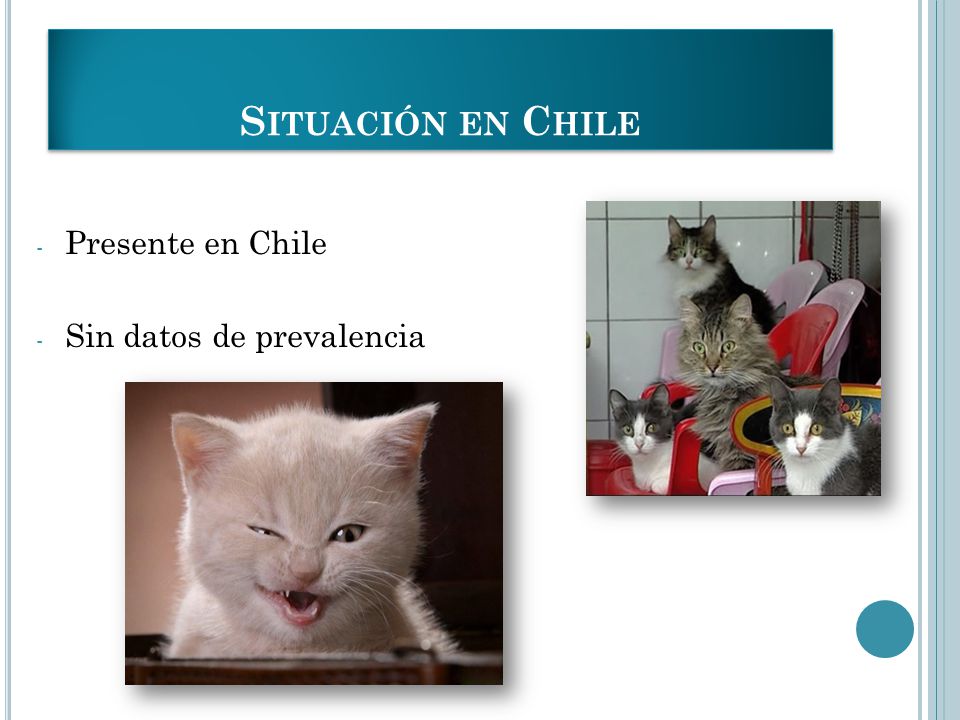 Situación en Chile Presente en Chile Sin datos de prevalencia