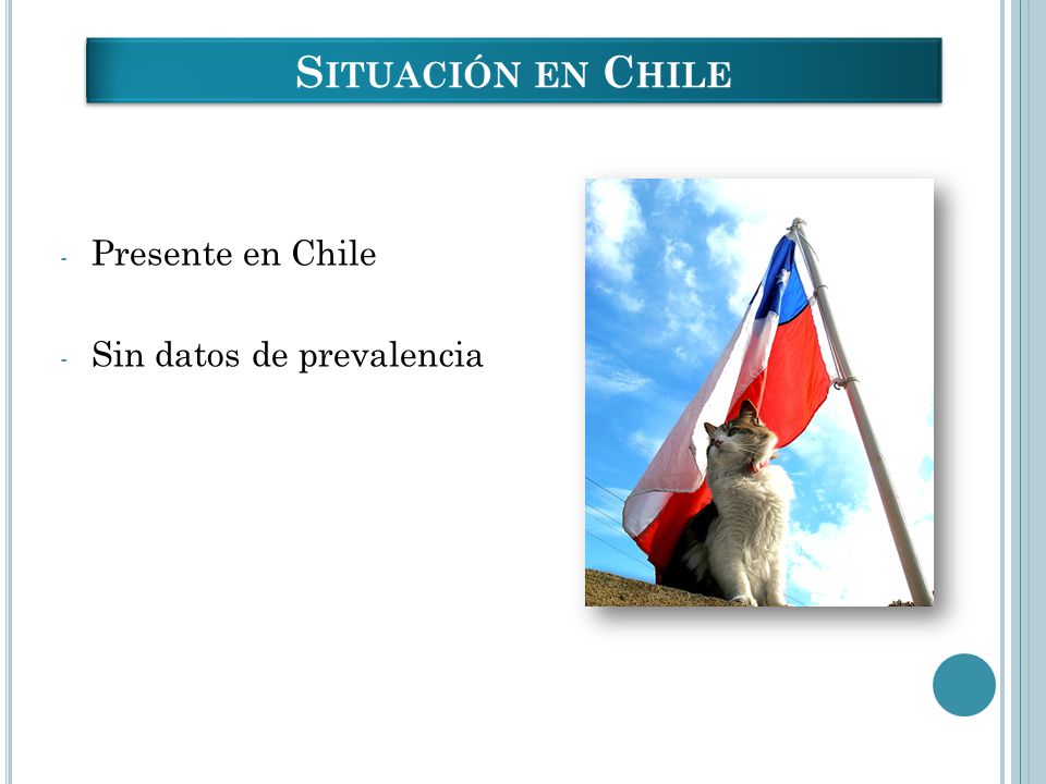 Situación en Chile Presente en Chile Sin datos de prevalencia