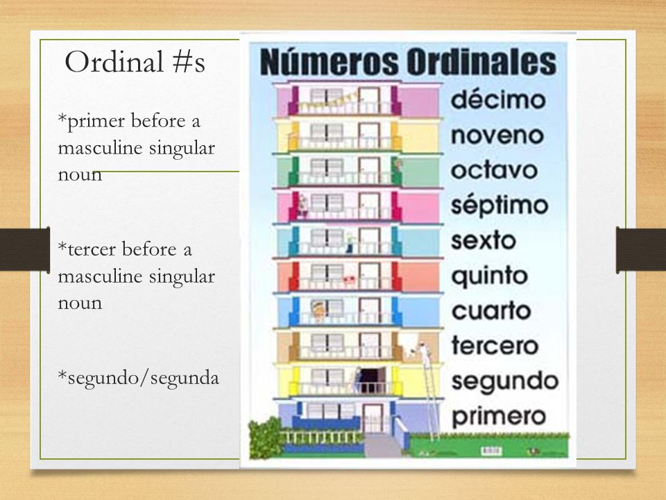 Ordinal #s *primer before a masculine singular noun *tercer before a masculine singular noun *segundo/segunda