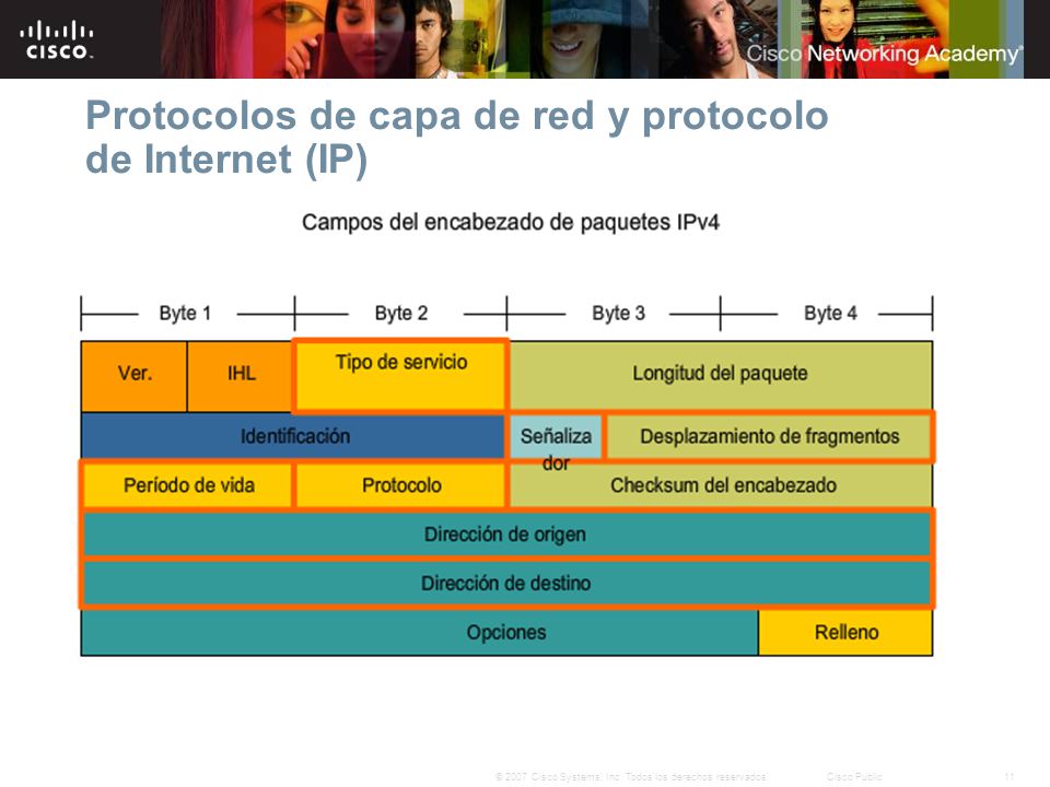 Protocolos de capa de red y protocolo de Internet (IP)
