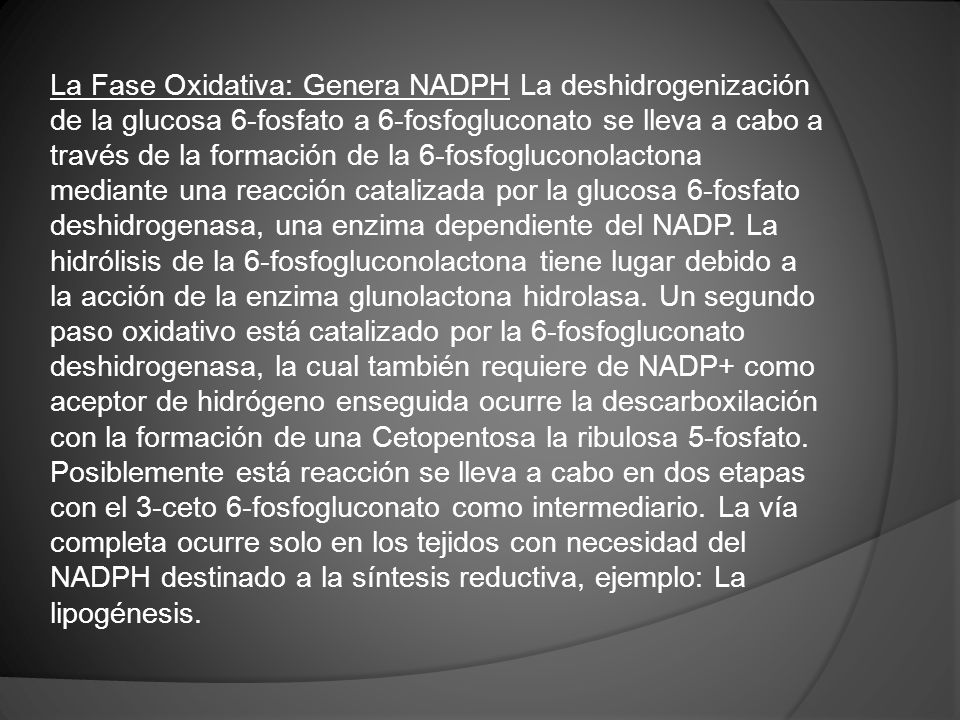 La Fase Oxidativa: Genera NADPH La deshidrogenización de la glucosa 6-fosfato a 6-fosfogluconato se lleva a cabo a través de la formación de la 6-fosfogluconolactona mediante una reacción catalizada por la glucosa 6-fosfato deshidrogenasa, una enzima dependiente del NADP.