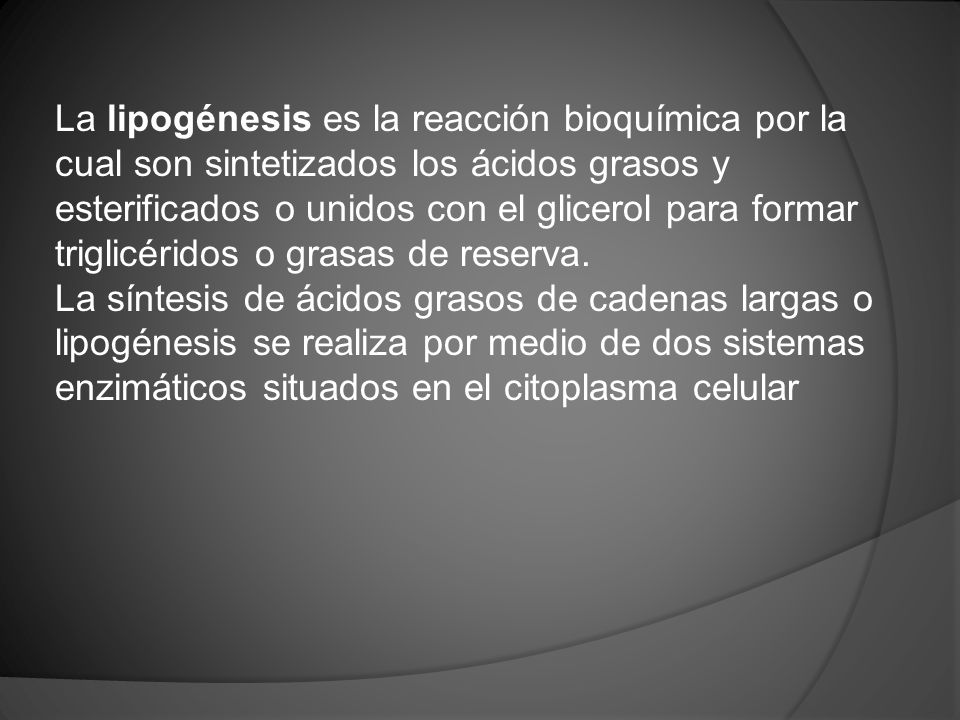 La lipogénesis es la reacción bioquímica por la cual son sintetizados los ácidos grasos y esterificados o unidos con el glicerol para formar triglicéridos o grasas de reserva.