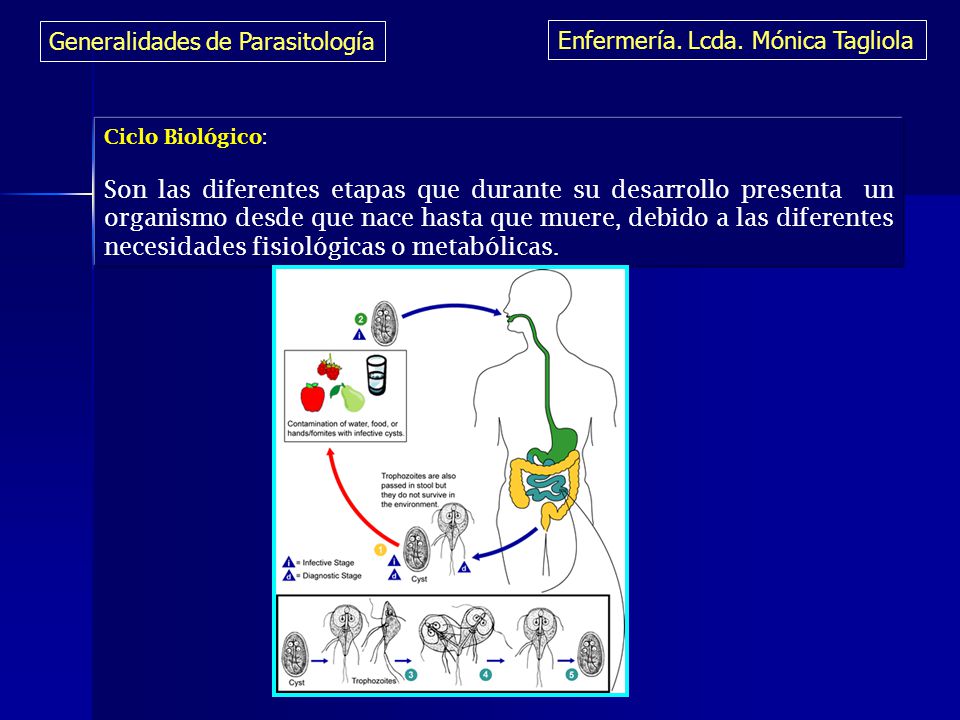 Generalidades de Parasitología Enfermería. Lcda. Mónica Tagliola