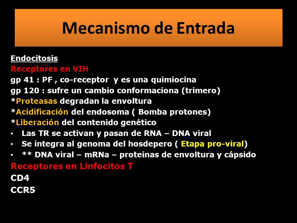 Mecanismo de Entrada Receptores en Linfocitos T CD4 CCR5 Endocitosis
