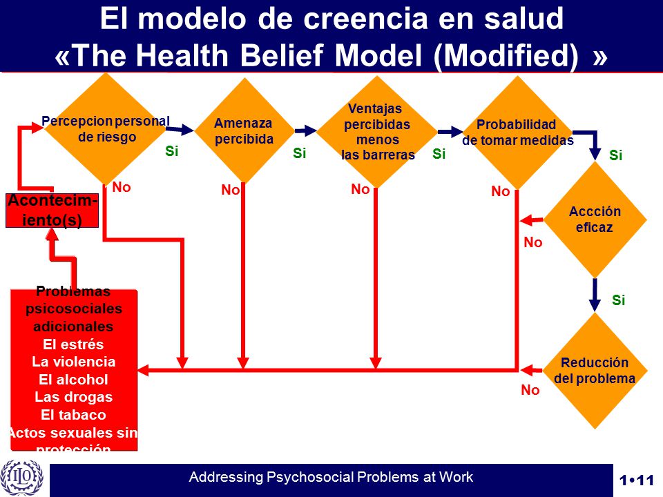 El modelo de creencia en salud «The Health Belief Model (Modified) »