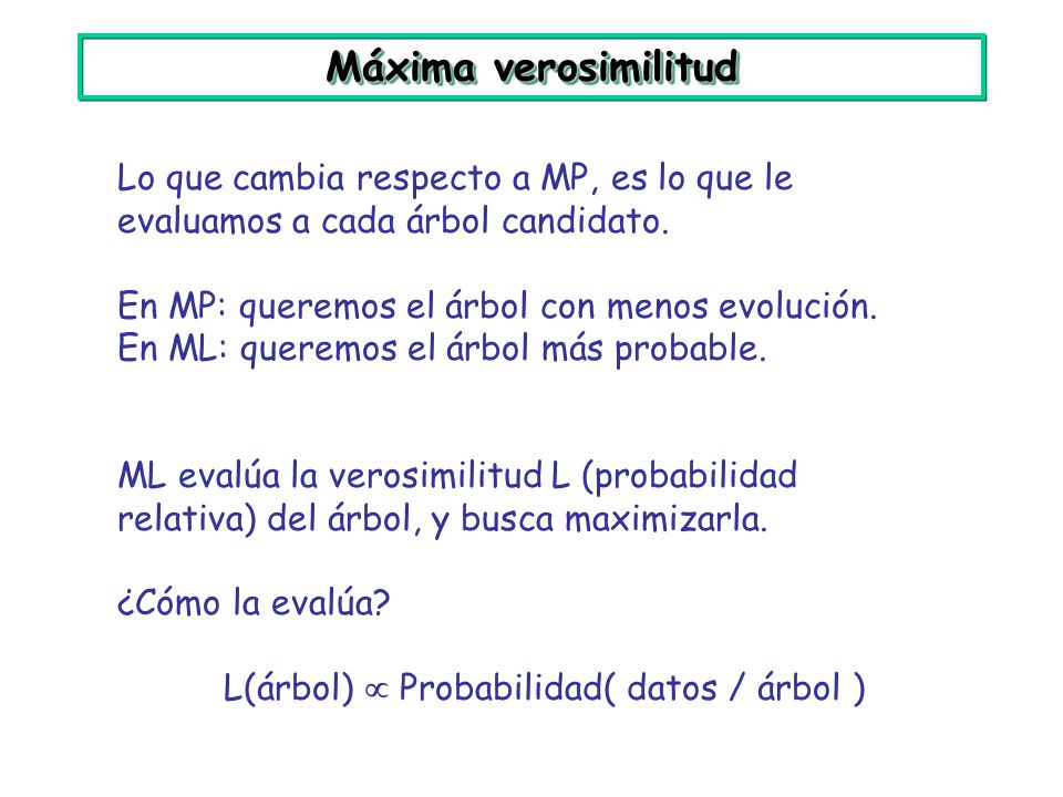 Máxima verosimilitud Lo que cambia respecto a MP, es lo que le evaluamos a cada árbol candidato. En MP: queremos el árbol con menos evolución.